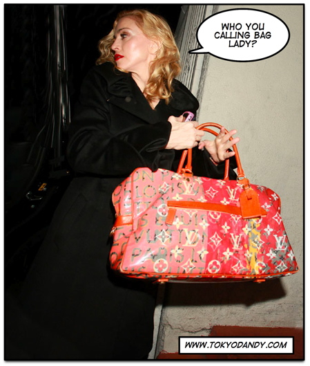 madonna louis vuitton bag