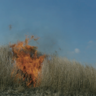 RINKO KAWAUCHI ‘ILLUMINANCE, AMETSUCHI, SEEING SHADOW’ EXHIBITION