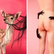 ‘ANIMALS’ BY RYAN MCGINLEY AT HIAKRIE 8 GALLERY