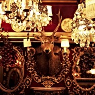 TOKYO DANDY 忘年会 2012 TRUMP ROOM